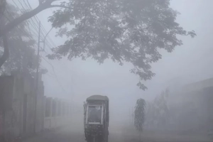 শ্রীমঙ্গলে দেশের সর্বনিম্ন ১১ ডিগ্রি; বাড়ছে শীতের তীব্রতা