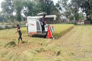মাধবপুরে হারভেস্টার মালিকের দৌরাত্ম্য: অতিরিক্ত টাকা আদায়ের অভিযোগ