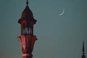  সৌদি আরবে চাঁদ দেখা গেছে, ঈদুল আজহা ৬ জুন