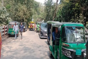 লাউয়াছড়ায় পর্যটকদের চাপে চার কিলোমিটার সড়ক জুড়ে দীর্ঘ যানজট