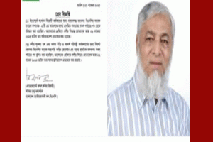 স্বপদে ফিরলেন মহানগর বিএনপির সভাপতি নাসিম হোসাইন