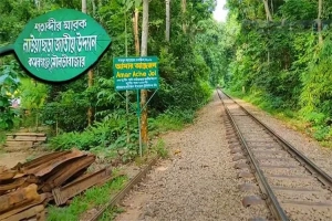 জাতীয় উদ্যান ঘোষণার ৩০ বছরে অস্তিত্ব সংকটে লাউয়াছড়া