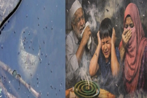 ‘দিনে-রাতে মশা-মাছি, এই নিয়ে সিলেট আছি’
