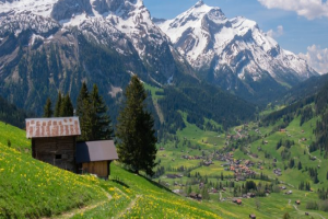 বাড়ির চারপাশ আবর্জনা মুক্ত রাখুন